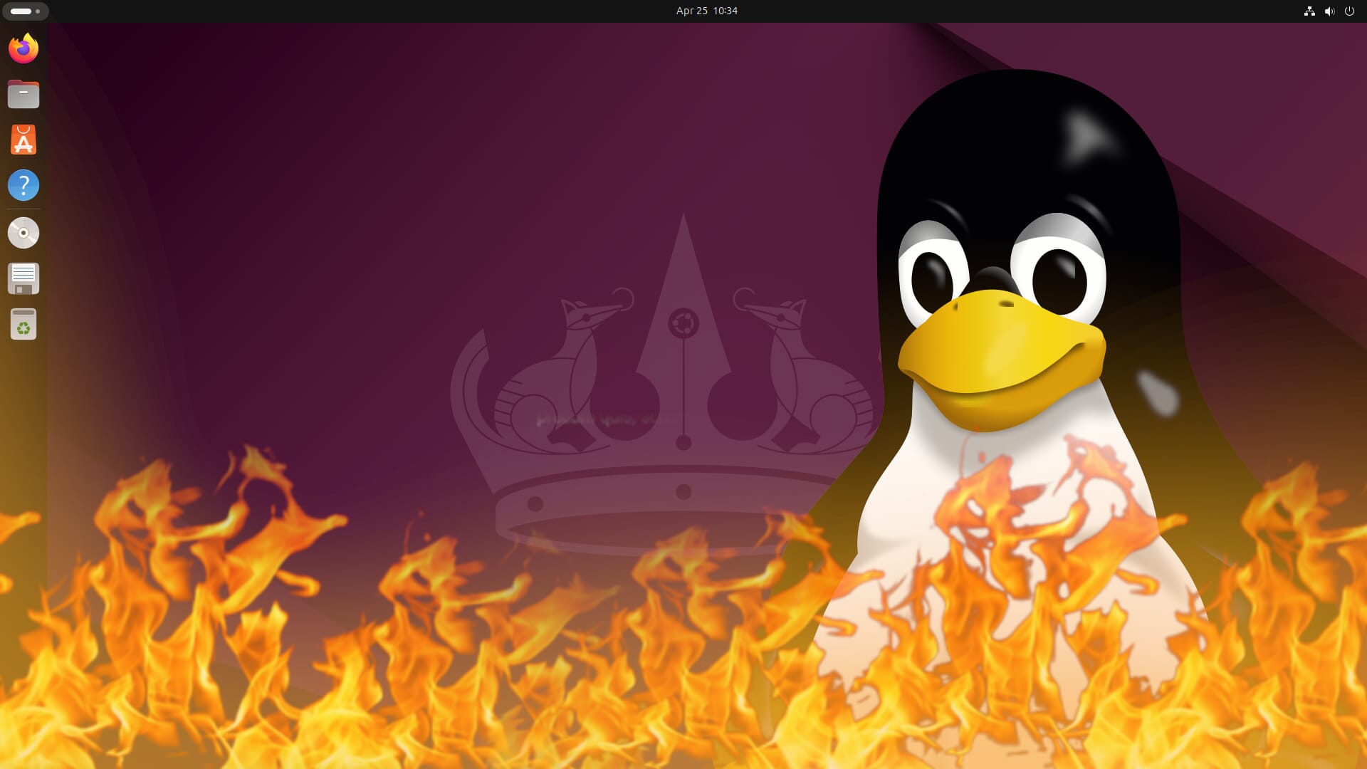 The Linux Experience